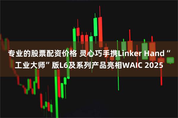 专业的股票配资价格 灵心巧手携Linker Hand“工业大师”版L6及系列产品亮相WAIC 2025