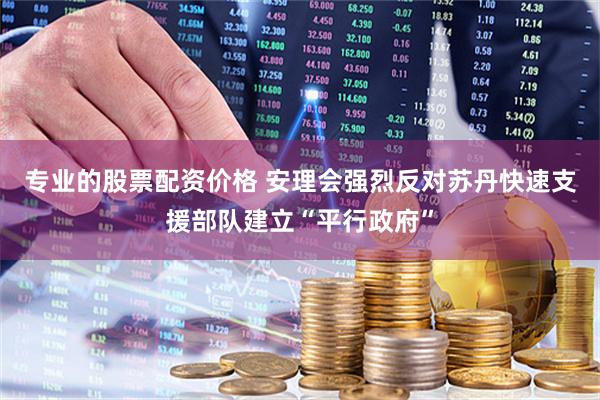 专业的股票配资价格 安理会强烈反对苏丹快速支援部队建立“平行政府”